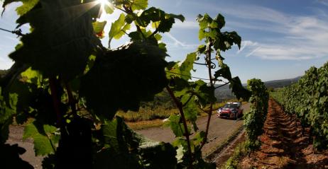 Sebastien Loeb